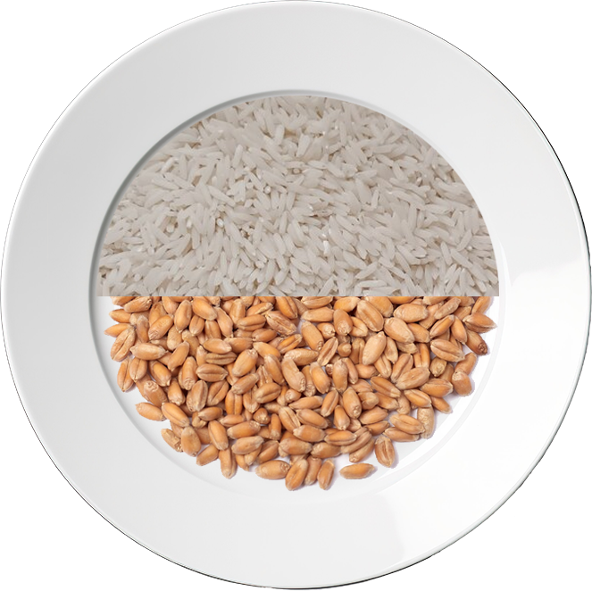 بشقاب فطریه